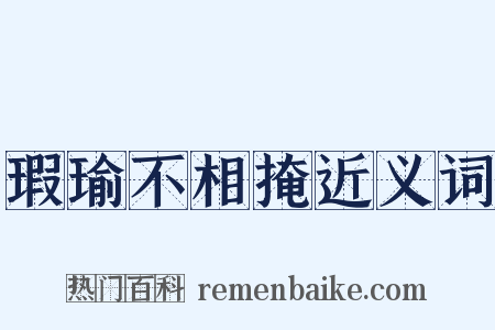 瑕瑜不相掩近义词是什么意思的图片